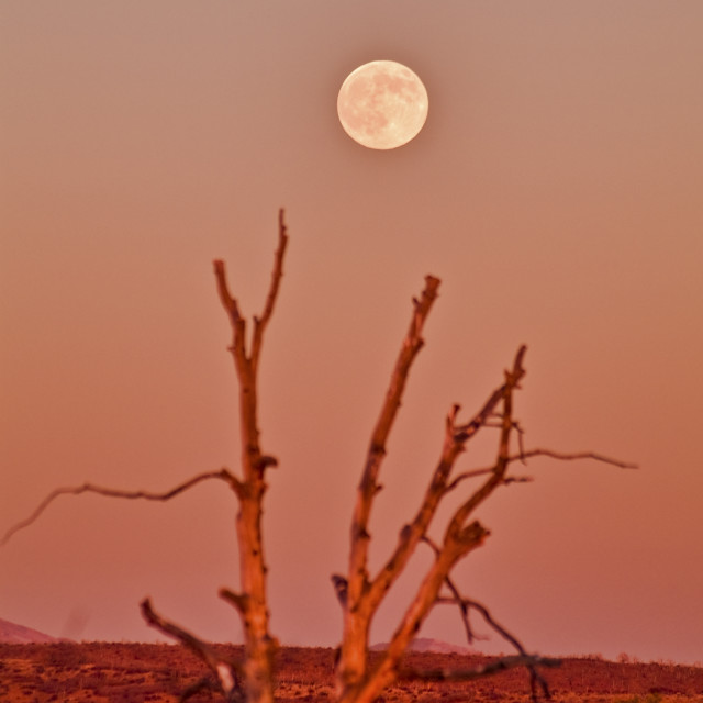 "MESA VERDE MOON" stock image