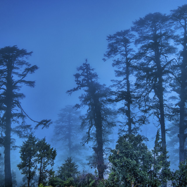 "HIMALAYA BLUE HOUR" stock image