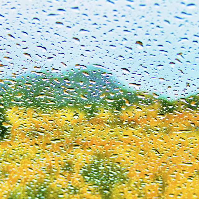 "OURAY RAIN" stock image