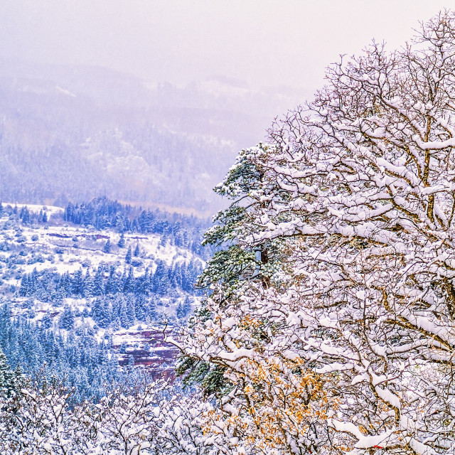 "WINTER STORM" stock image