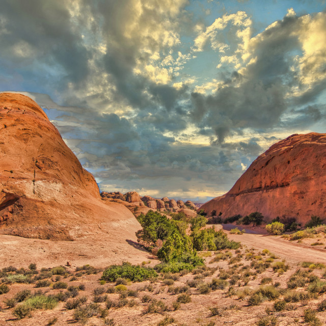 "SLICKROCK TRAIL" stock image