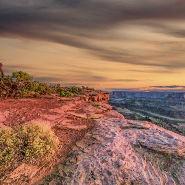 "DEAD HORSE POINT UTAH 8" stock image