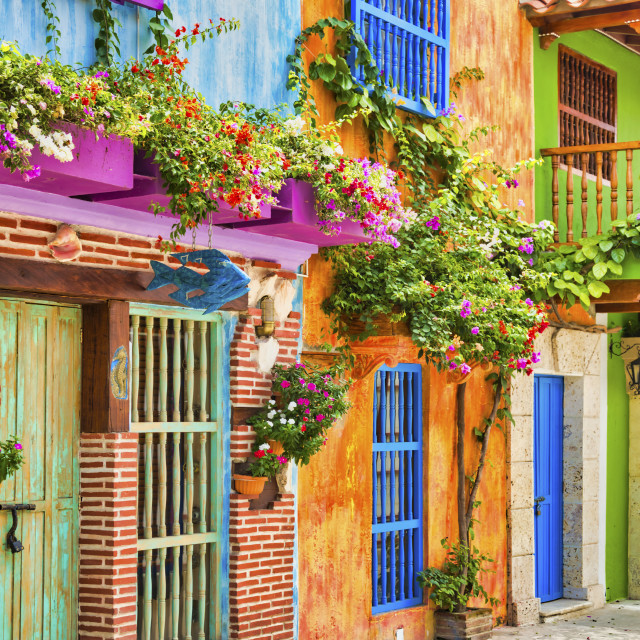 "VIBRANT CARTAGENA" stock image