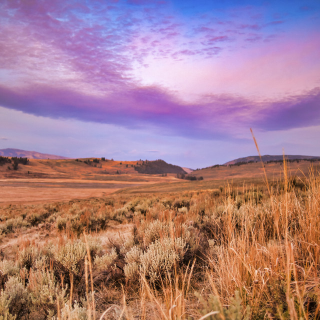 "YELLOWSTONE PINK SUNRISE" stock image