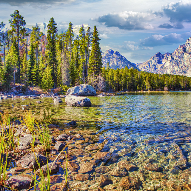 "GRAND TETON NATURAL BEAUTY" stock image