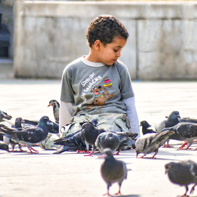 "FEATHERED FRIENDS" stock image