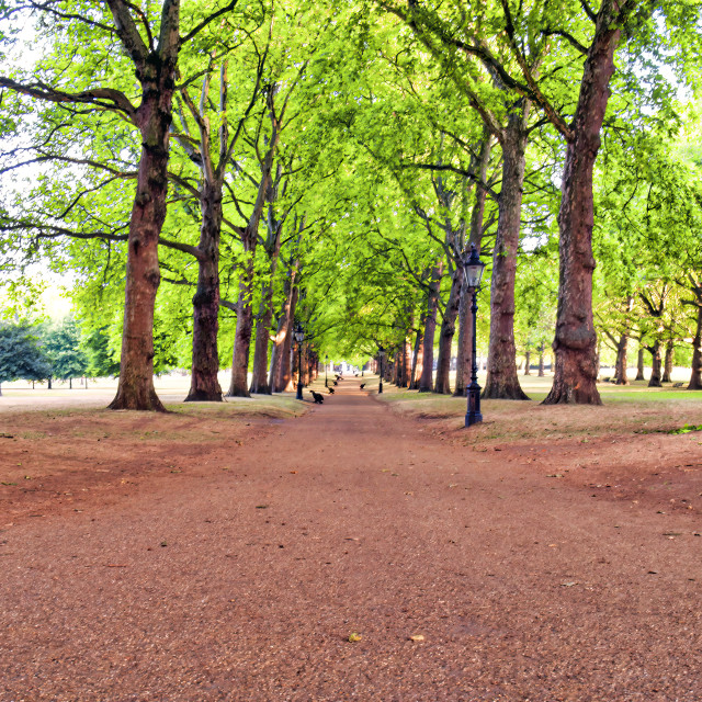 "GREEN PARK FOOTPATH" stock image