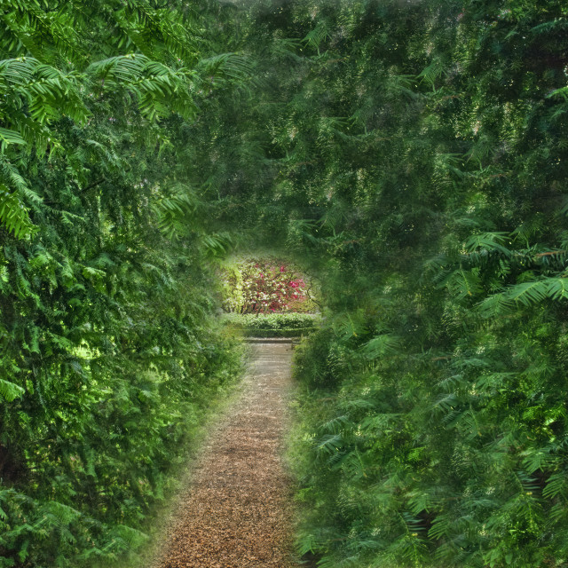 "LONDON SECRET GARDEN" stock image