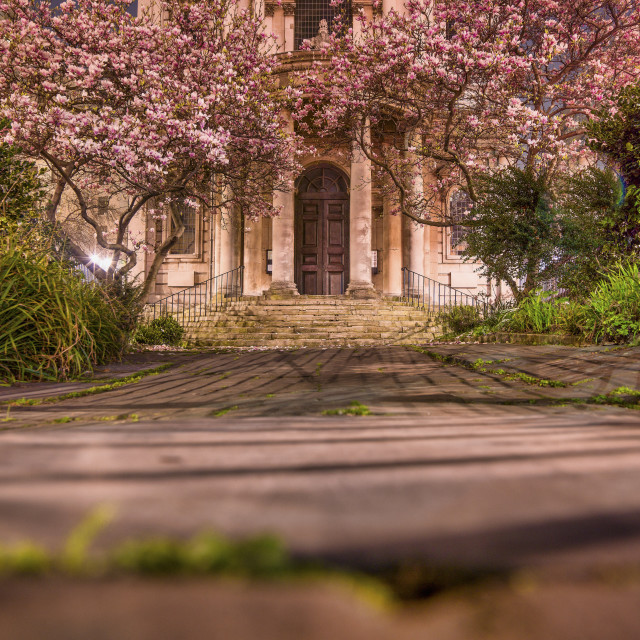 "ST MARY-LE-STRAND CHURCH BLOOMS" stock image