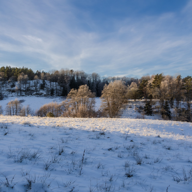 "Winter meadow" stock image