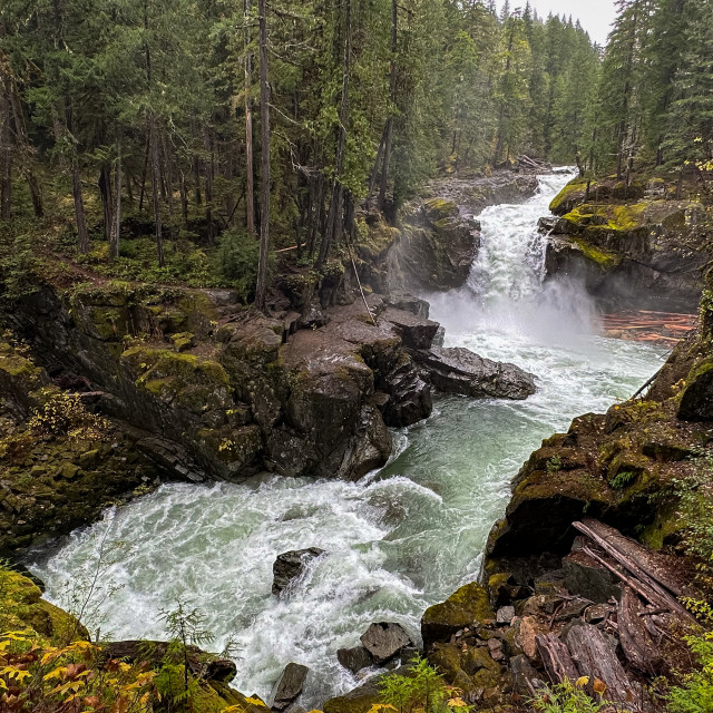 "Silver Falls" stock image