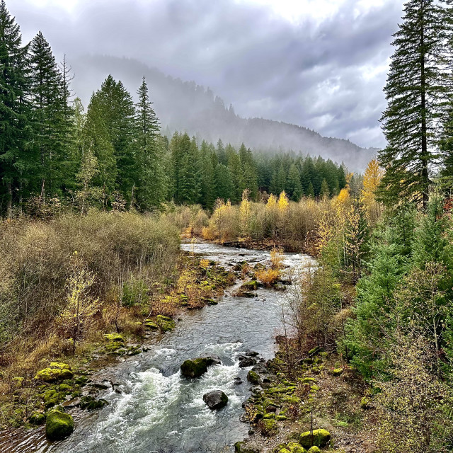 "Wind River" stock image