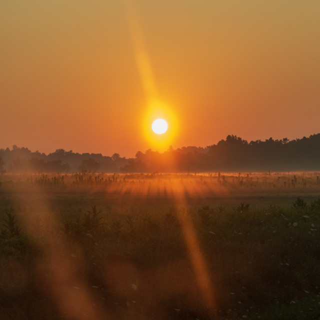 "Burning off the fog" stock image