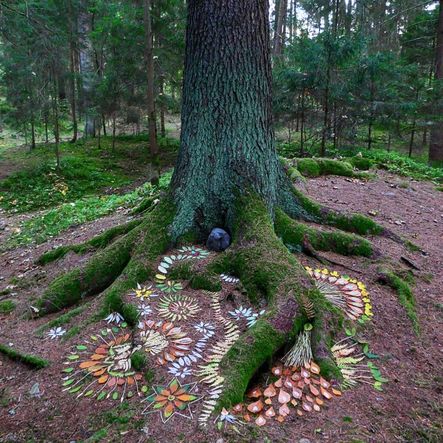 "tree root land art" stock image