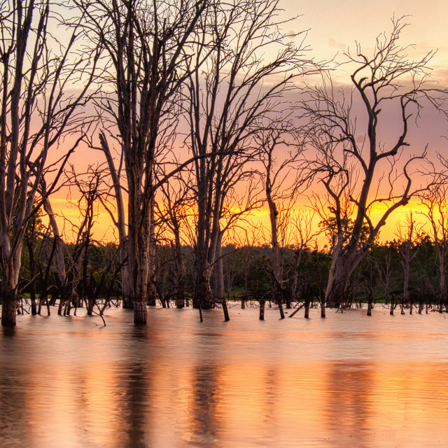 "Sunset Lake Wyaralong" stock image