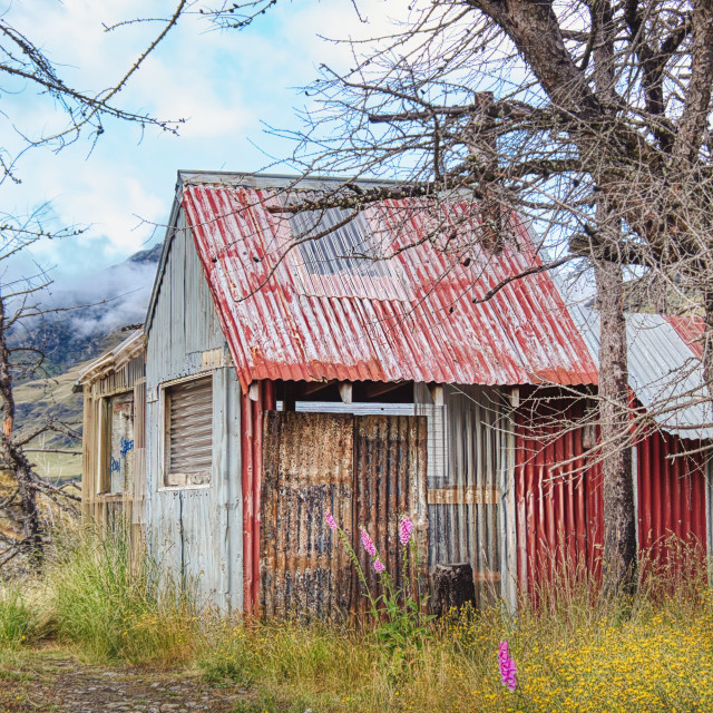 "Shack" stock image