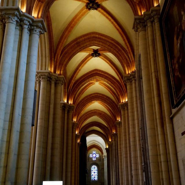 "st jean baptiste cathedral" stock image