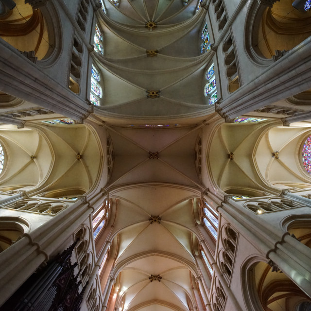 "st jean baptiste cathedral" stock image