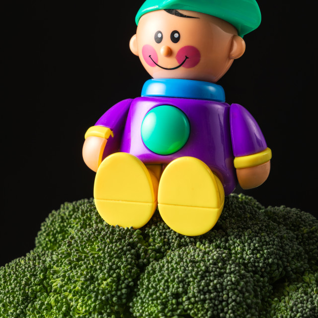 "Fresh broccoli florets and plastic toy boy on black rustic background" stock image