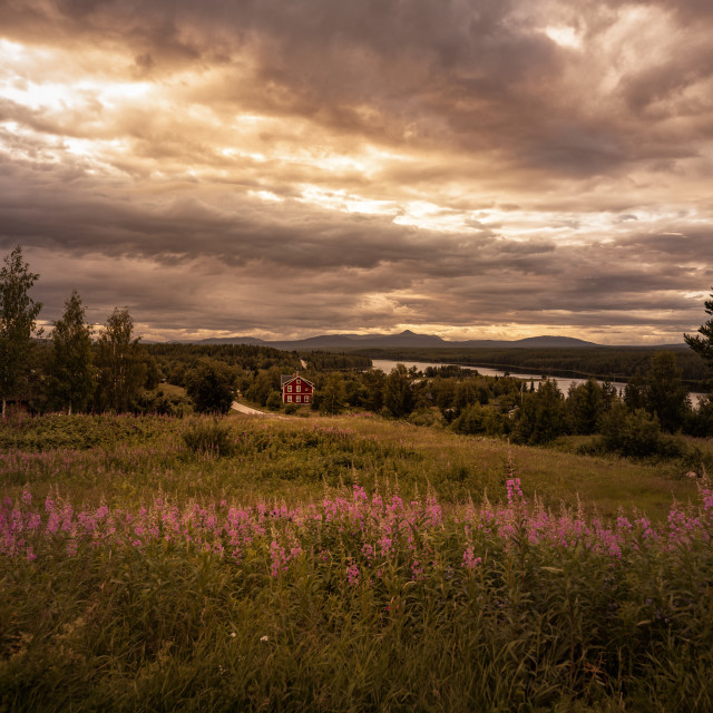 "Swedish summer landscape" stock image