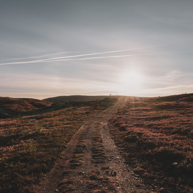 "Sweden - Red paths of Trollvägen - Nipfjället-Städjan nature reserve" stock image