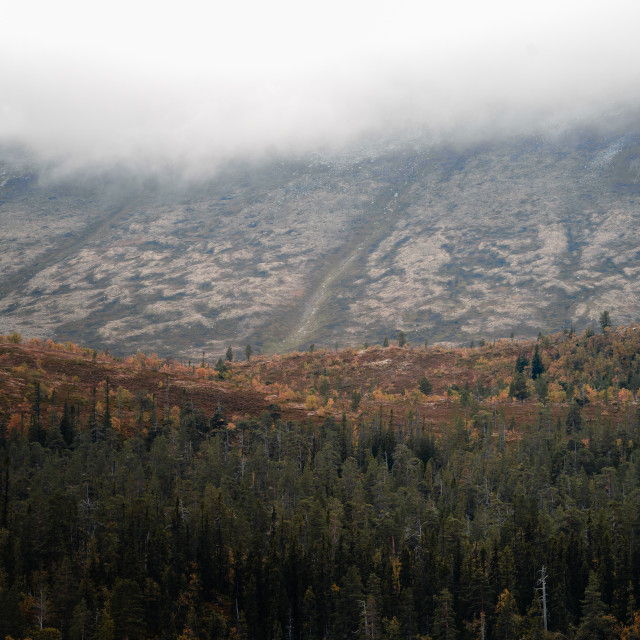 "Mist over Mount Fjätervålen" stock image