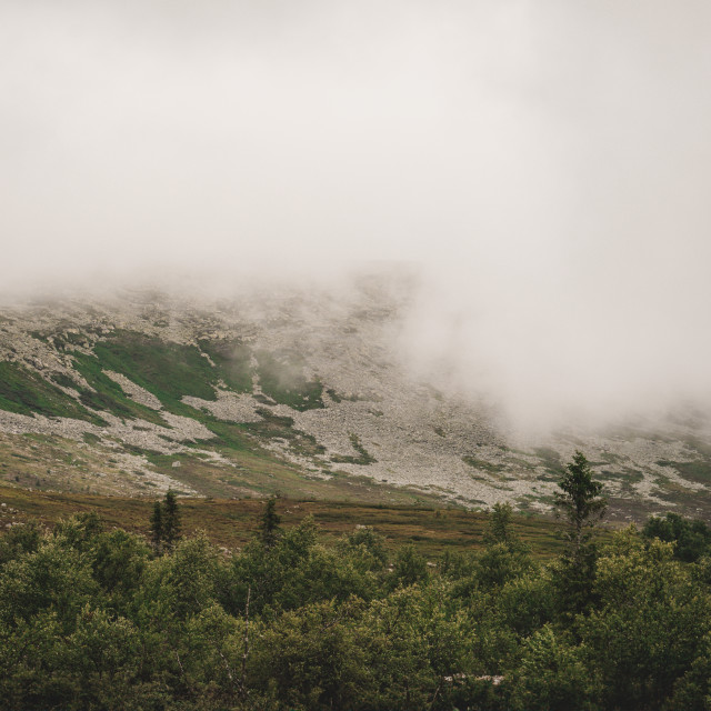 "Sweden - Mist over Trollvägen" stock image