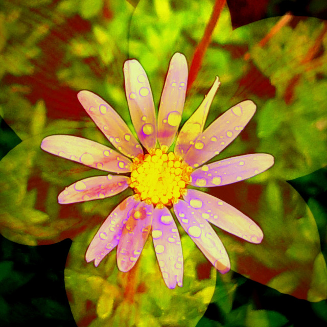 "Fantasy flower" stock image