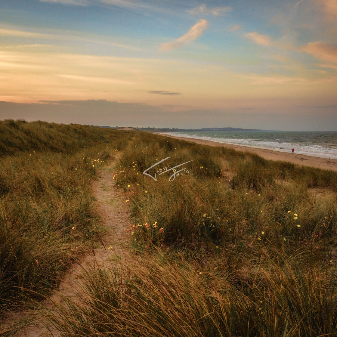 "Seaside Soaring" stock image