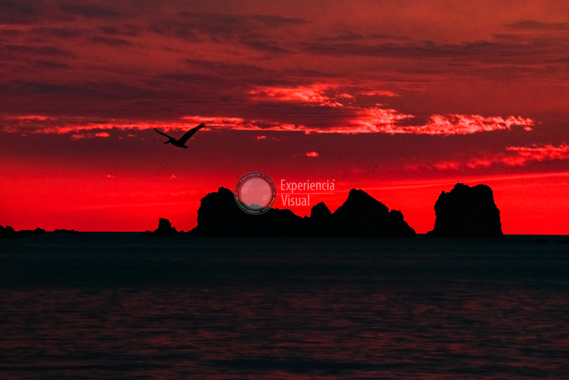 "Ixtapa Island in dusk" by Expvisual Filmmaking and Photography SAS de CV - $6.20 "Ixtapa Island in dusk" stock image
