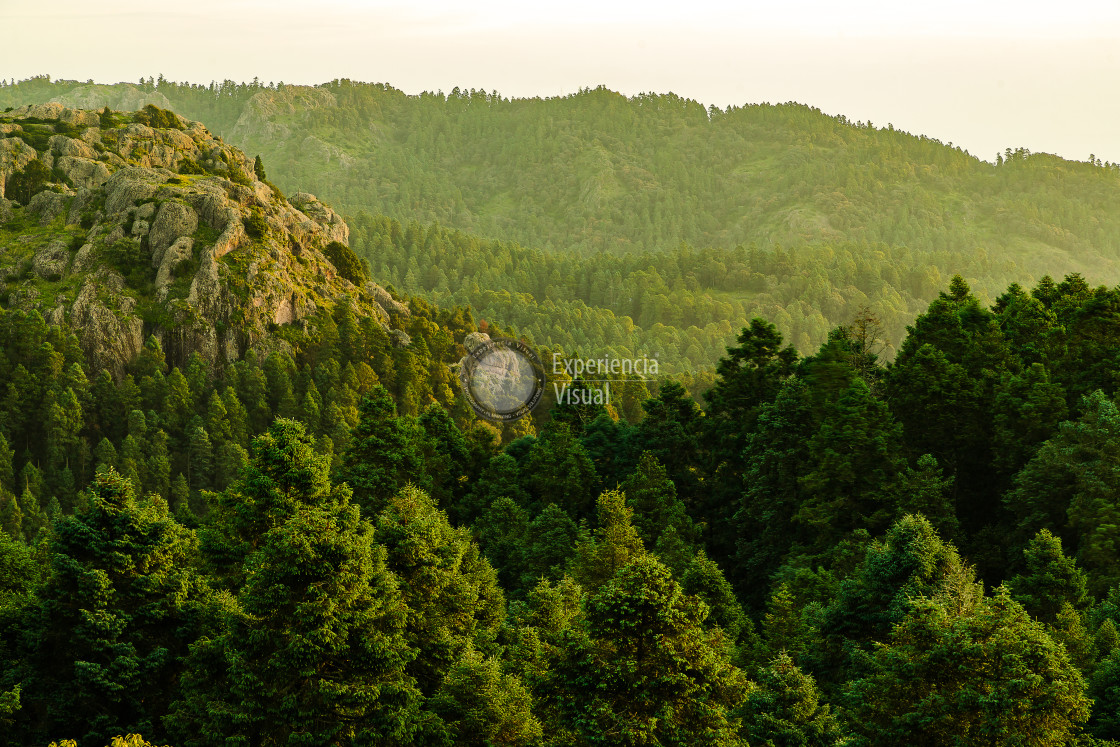 "Rock in the Natural Park "El Chico" IV" by Expvisual Filmmaking and Photography SAS de CV - $9.92 "Rock in the Natural Park "El Chico" IV" stock image