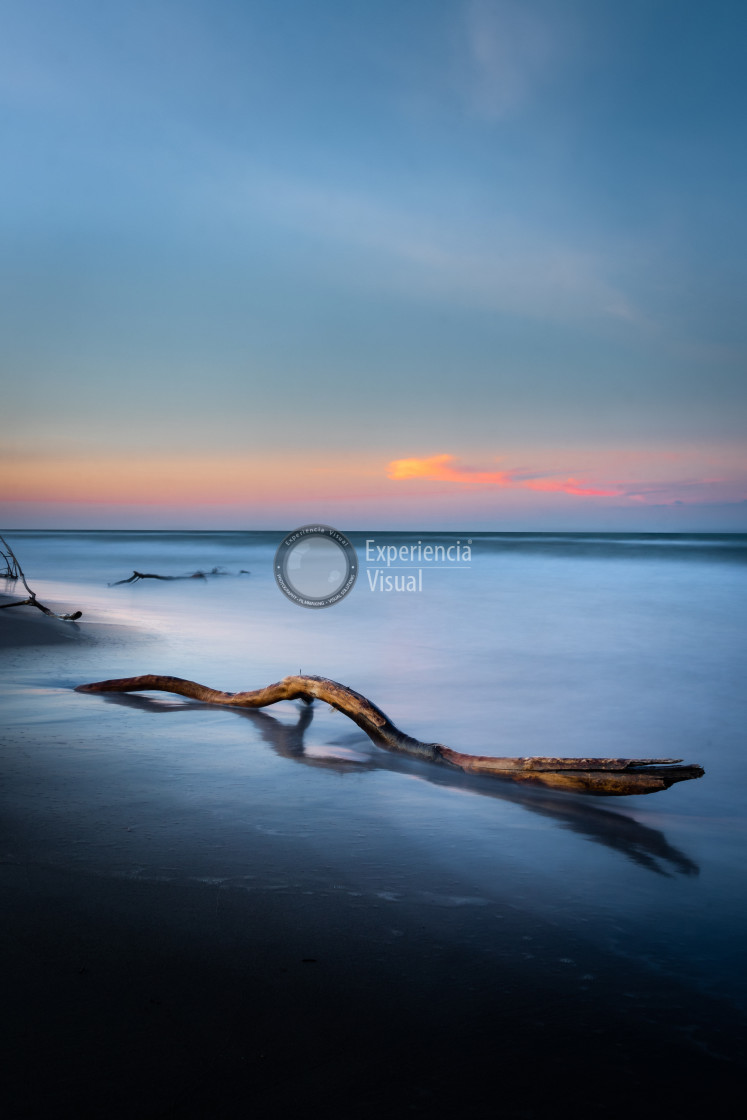 "Trunk at sunset at sea I" by Expvisual Filmmaking and Photography SAS de CV - $17.36 "Trunk at sunset at sea I" stock image
