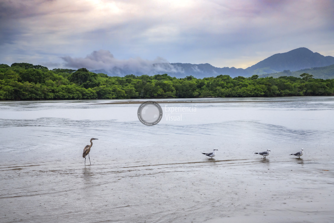 "La Mancha Lagoon III" by Expvisual Filmmaking and Photography SAS de CV - $6.27 "La Mancha Lagoon III" stock image