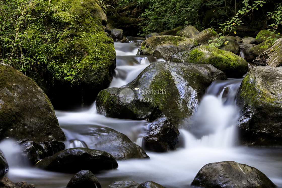 "Magdalena River in Los Dinamos National Park I" by Expvisual Filmmaking and Photography SAS de CV - $14.88 "Magdalena River in Los Dinamos National Park I" stock image