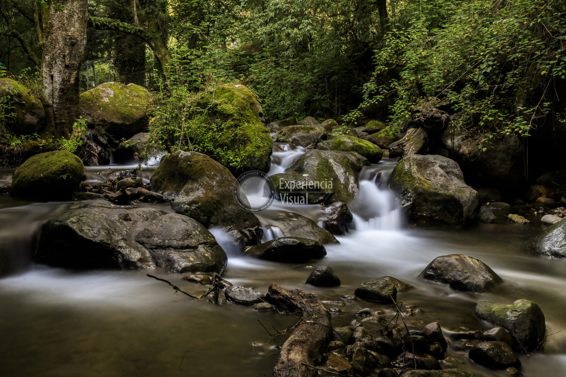 "Magdalena River in Los Dinamos National Park IV" by Expvisual Filmmaking and Photography SAS de CV - $1.21 "Magdalena River in Los Dinamos National Park IV" stock image