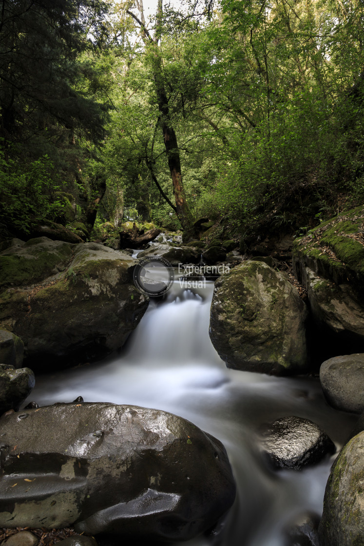 "Magdalena River in Los Dinamos National Park VII" by Expvisual Filmmaking and Photography SAS de CV - $3.62 "Magdalena River in Los Dinamos National Park VII" stock image
