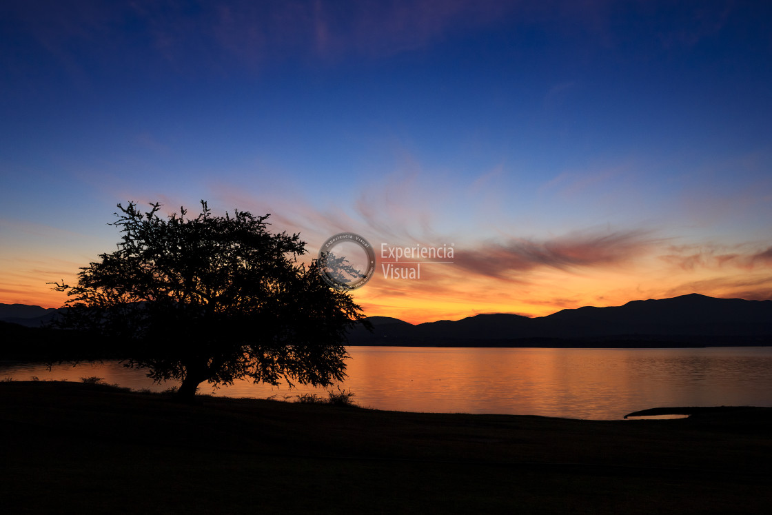 "Tree at dawn on the Valerio Trujano dam" by Expvisual Filmmaking and Photography SAS de CV - $6.03 "Tree at dawn on the Valerio Trujano dam" stock image