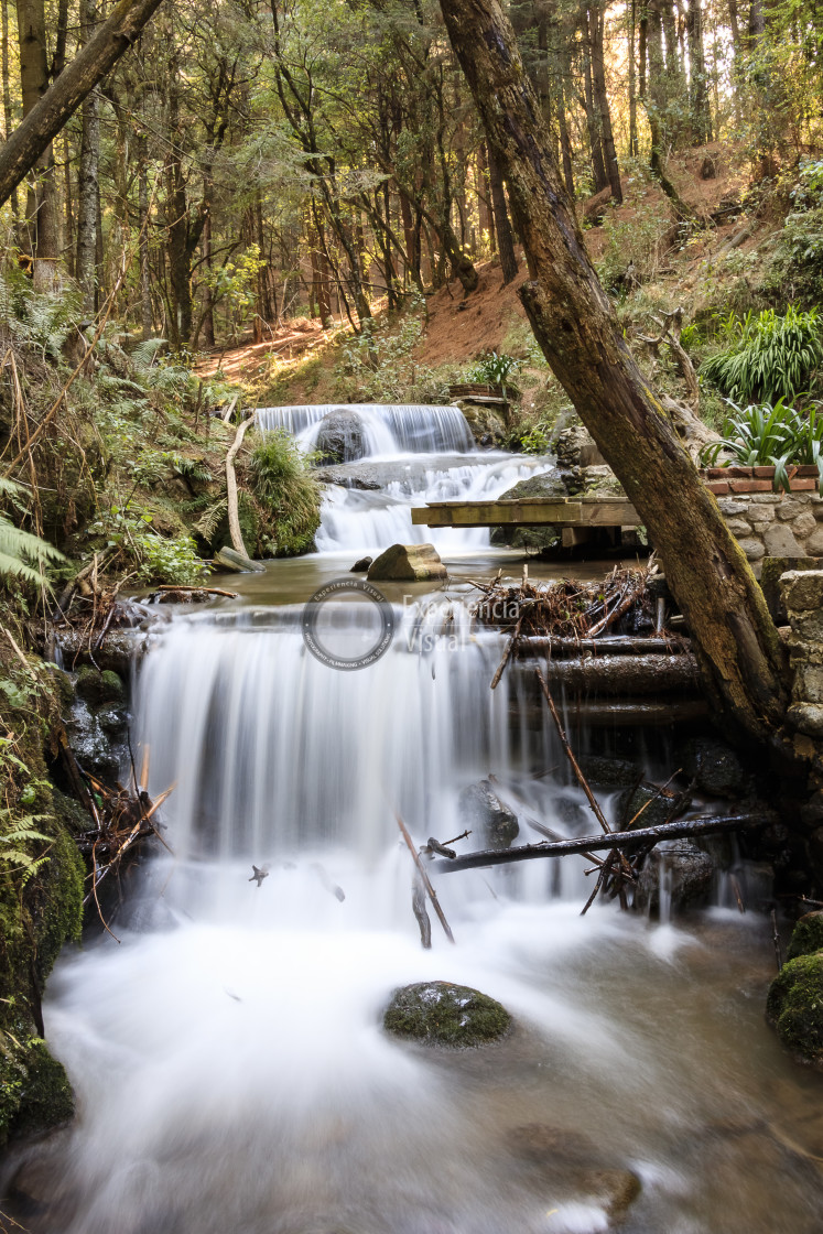 "Catidey Waterfalls I" by Expvisual Filmmaking and Photography SAS de CV - $3.62 "Catidey Waterfalls I" stock image