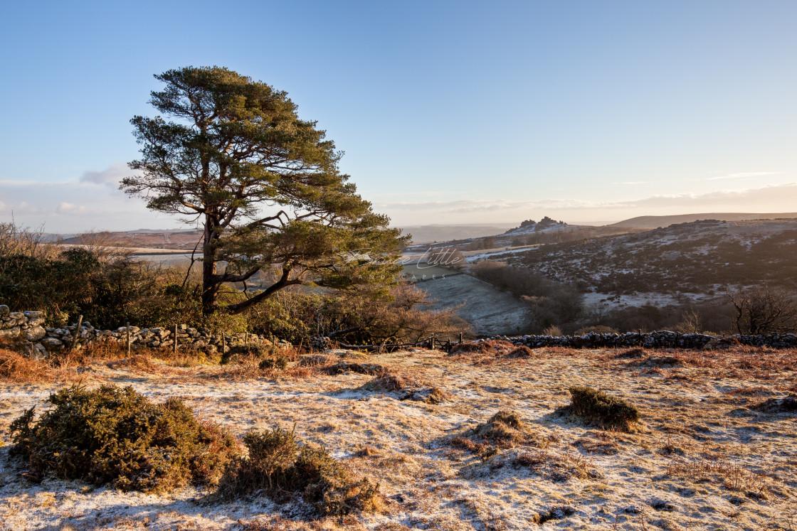 "Frosty Dartmoor morning" by Bruce Little - £20.00 "Frosty Dartmoor morning" stock image
