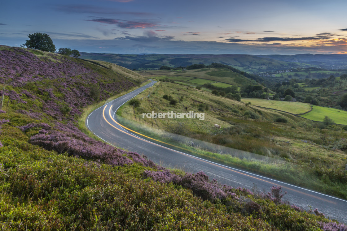 "View of flowering heather on Stanage Edge and Hope Valley at sunset,..." by robertharding - $62.60 "View of flowering heather on Stanage Edge and Hope Valley at sunset,..." stock image