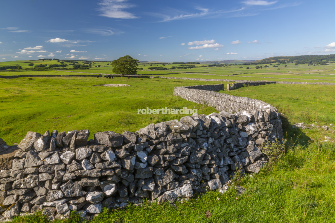"View of dry stone walls near Litton, Peak District National Park, Derbyshire,..." by robertharding - $62.31 "View of dry stone walls near Litton, Peak District National Park, Derbyshire,..." stock image