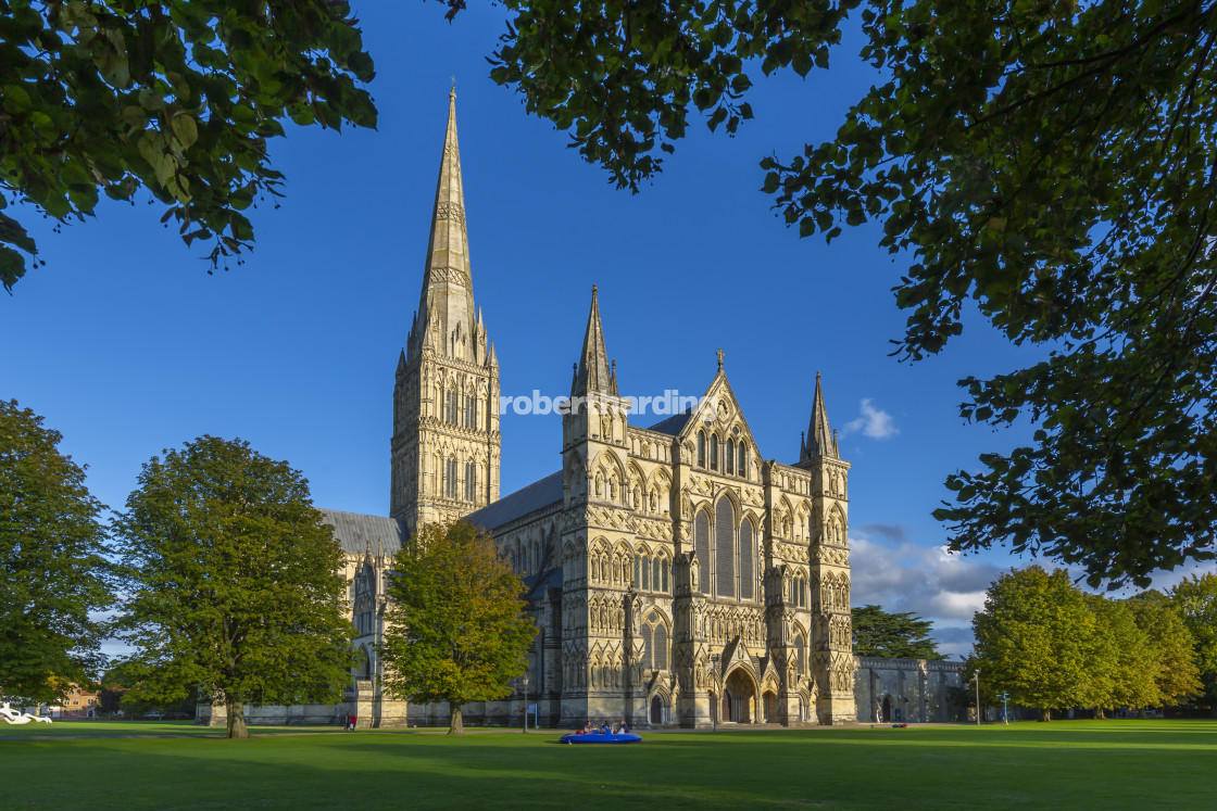 "View of Salisbury Cathedral framed by trees, Salisbury, Wiltshire, England,..." by robertharding - $62.31 "View of Salisbury Cathedral framed by trees, Salisbury, Wiltshire, England,..." stock image