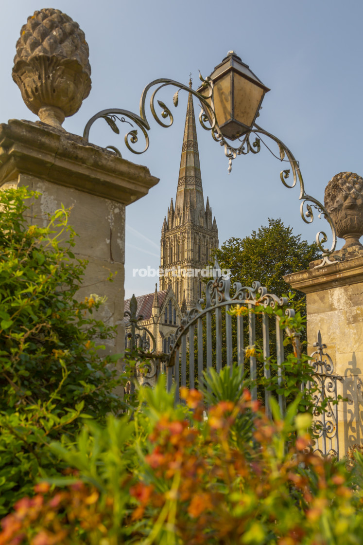 "View of Salisbury Cathedral from North Walk, Salisbury, Wiltshire, England,..." by robertharding - $62.31 "View of Salisbury Cathedral from North Walk, Salisbury, Wiltshire, England,..." stock image