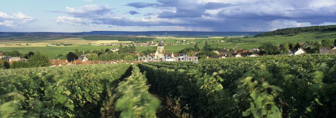 "View over Champagne vineyards to the village of Villedommange from the chapel..." stock image