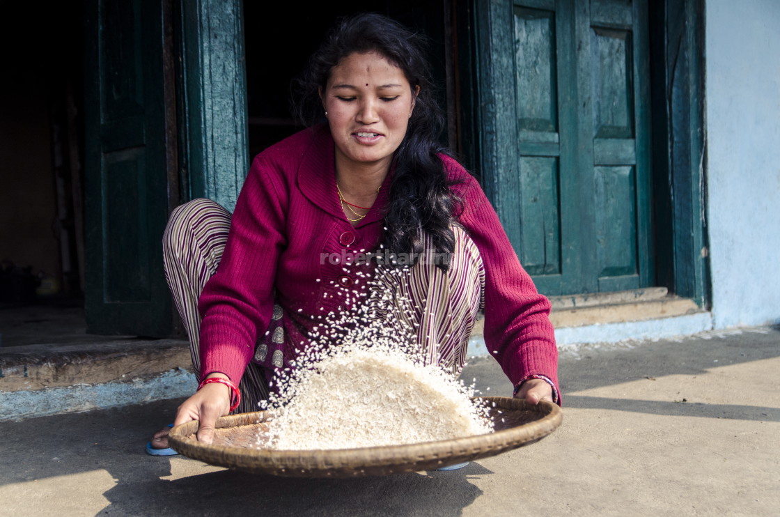 "A woman sifts rice to remove stones, Mulkharka, Nepal, Asia" by robertharding - $62.60 "A woman sifts rice to remove stones, Mulkharka, Nepal, Asia" stock image