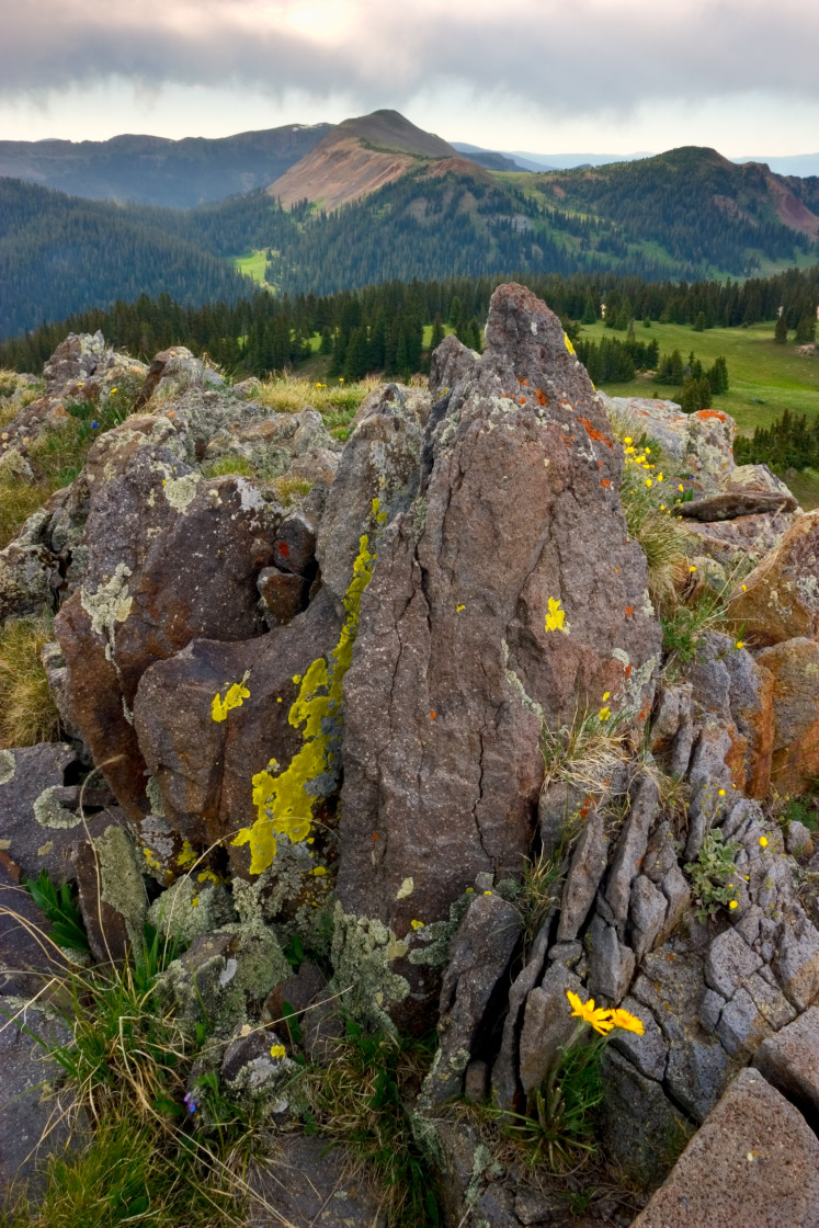 "Volcanic Garden" stock image