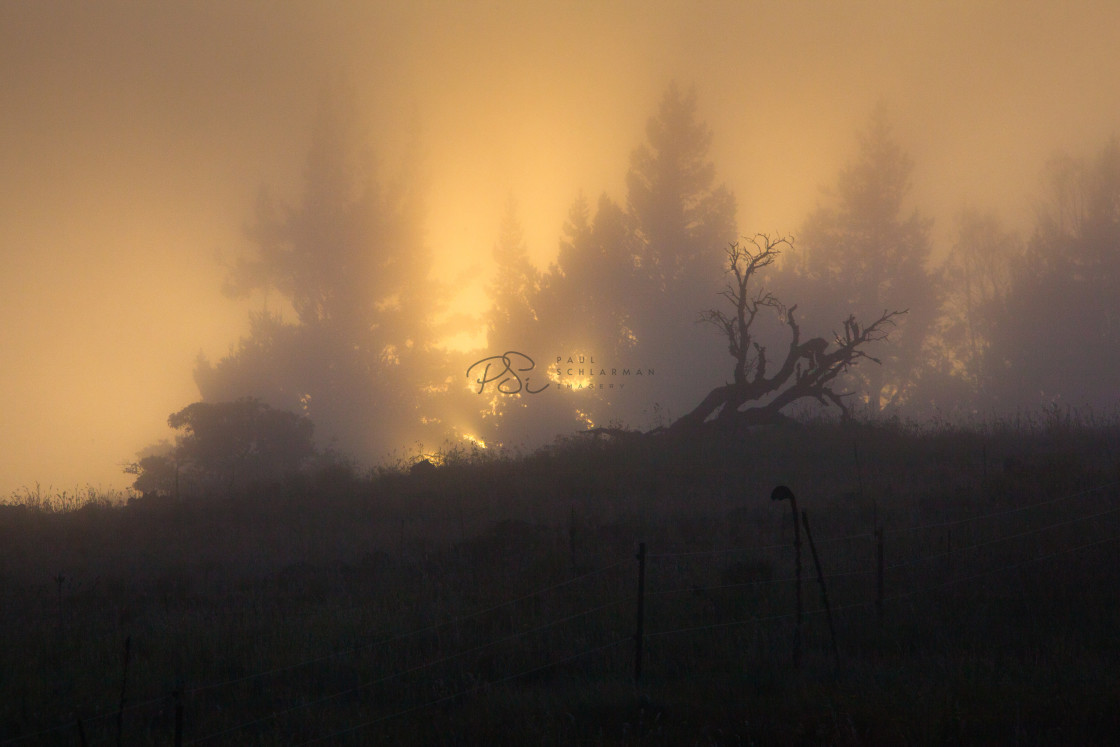 "Mauna Kea Mist" stock image