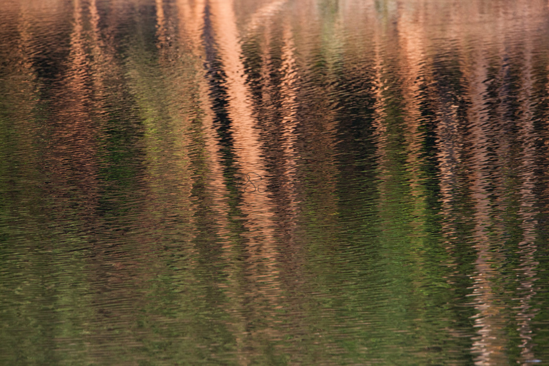 "Reflections" stock image