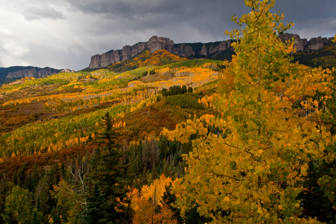 "Autumn Bloom" stock image