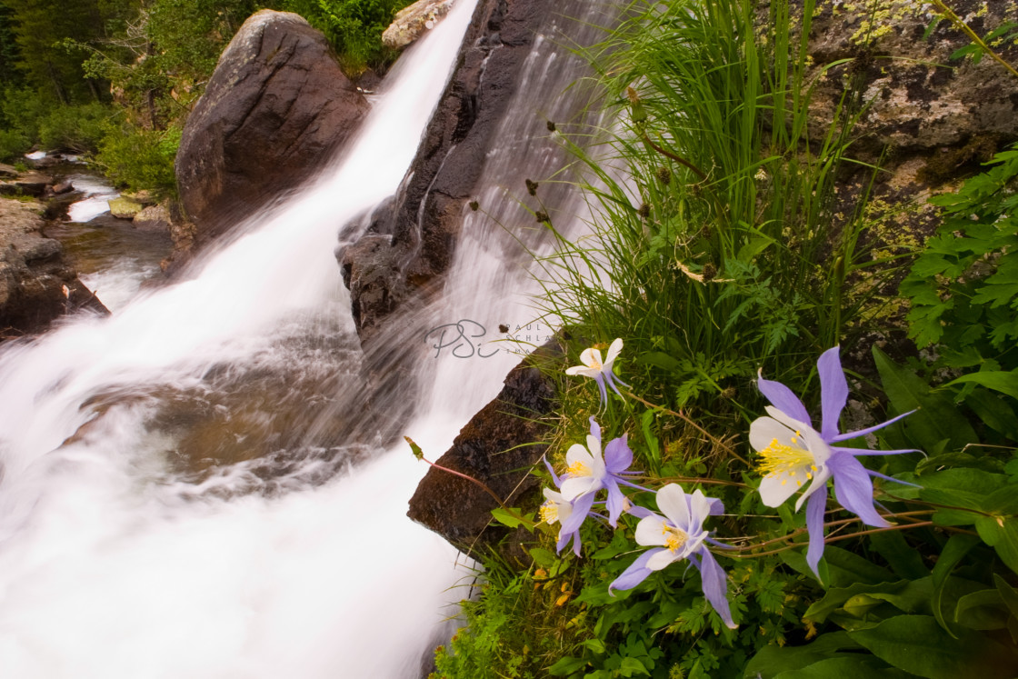 "Spring Rush" stock image